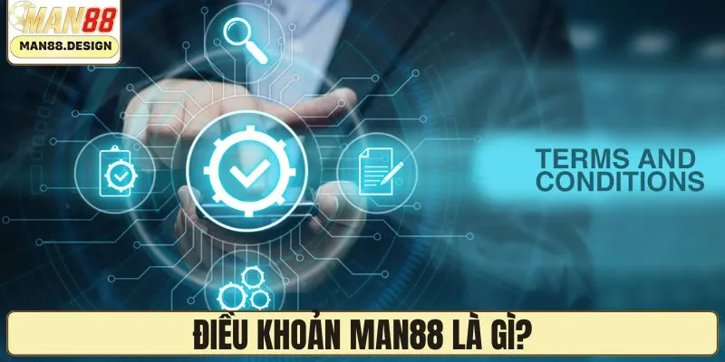 Chính sách điều khoản - Tổng quan đầy đủ
