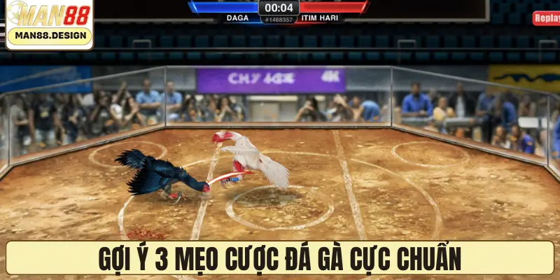 Gợi ý 3 mẹo cược đá gà cực chuẩn