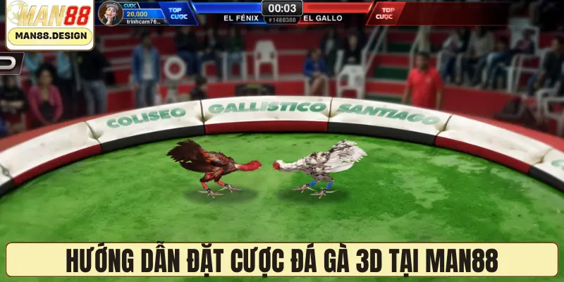 Hướng dẫn đặt cược đá gà 3D tại MAN88