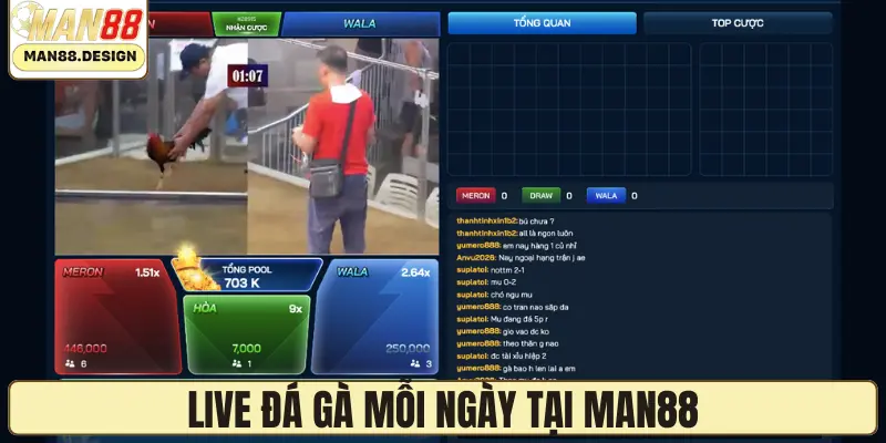 Live đá gà mỗi ngày tại MAN88