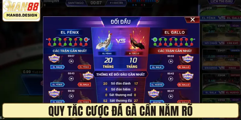 Quy tắc cược đá gà cần nắm rõ