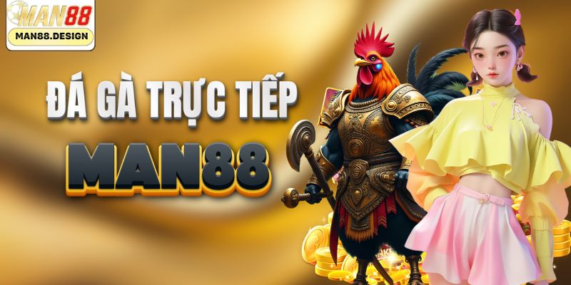 Sân chơi đá gà trực tiếp độc quyền