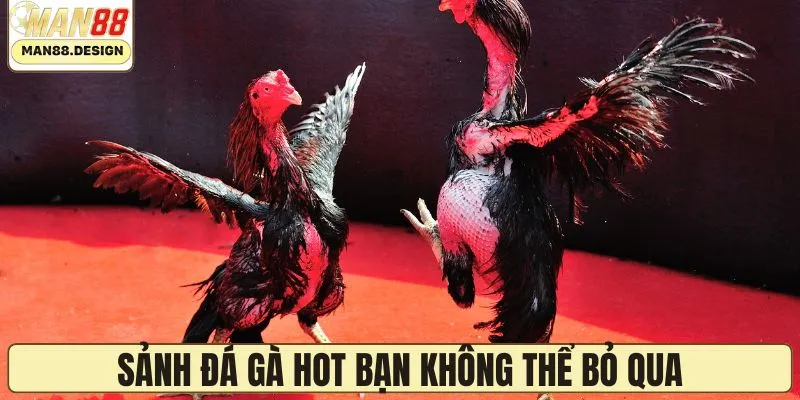 Top sảnh hot nhất bạn không thể bỏ qua